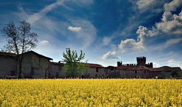 Il Castello di Malpaga circondato da uno splendido campo di ravizzone con vista verso le Prealpi Orobie il 18 aprile 09 - FOTOGALLERY